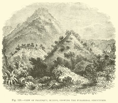 Veduta di Palenque, Messico, che mostra le strutture piramidali da English School