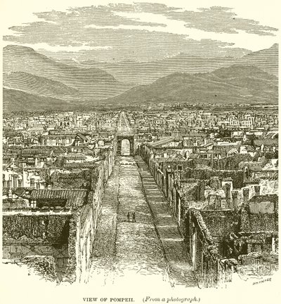 Veduta di Pompei da English School