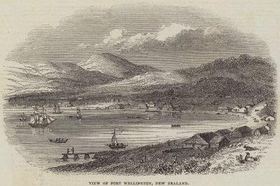 Veduta di Port Wellington, Nuova Zelanda da English School