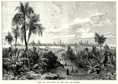 Veduta di Vera Cruz, sul Golfo del Messico (incisione) da English School