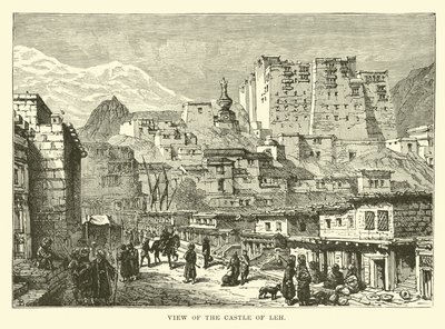 Veduta del castello di Leh da English School