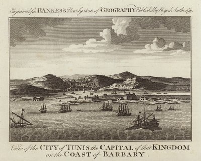 Veduta della città di Tunisi da English School