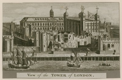 Vista della Torre di Londra da English School