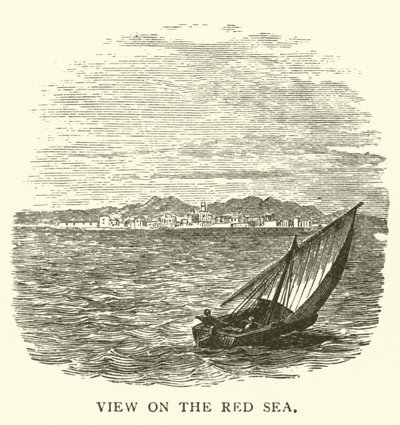 Veduta sul Mar Rosso da English School