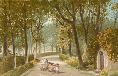 Vinchelez Lane--Jersey da English School