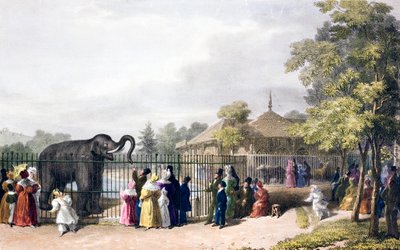 Visitatori allo Zoo di Londra, Regent