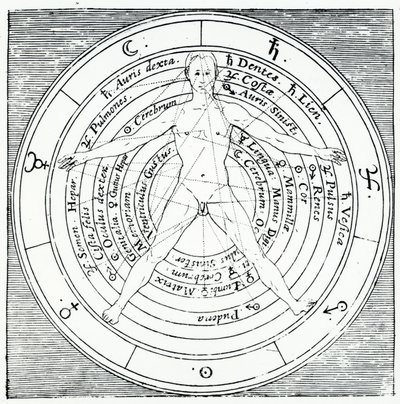 Figura vitruviana, da 