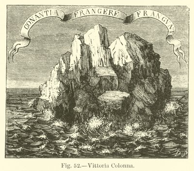 Vittoria Colonna da English School
