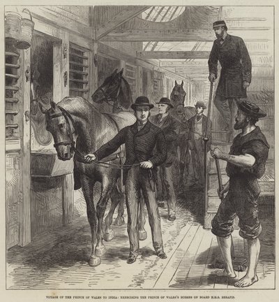 Viaggio del Principe di Galles in India, esercitazione dei cavalli del Principe di Galles a bordo della HMS Serapis da English School