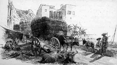 Carri con erba di esparto, Almeria, Spagna, da 