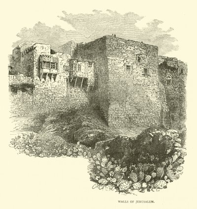 Mura di Gerusalemme da English School