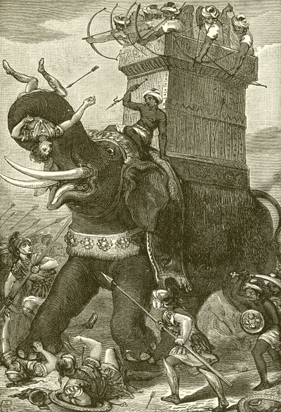 Elefante da guerra nell