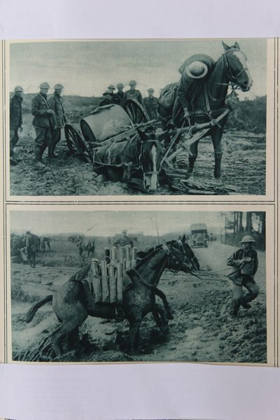 Cavalli da guerra che affondano nel fango, Francia settentrionale, agosto 1917 da English School