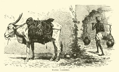 Portatori d