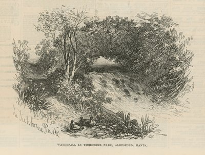 Cascata nel parco di Tichborne da English School