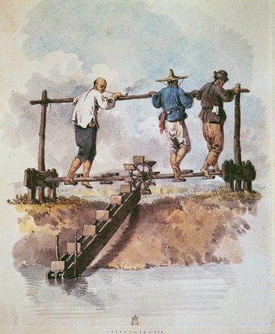 Irrigazione del campo di riso con una pompa a catena da English School