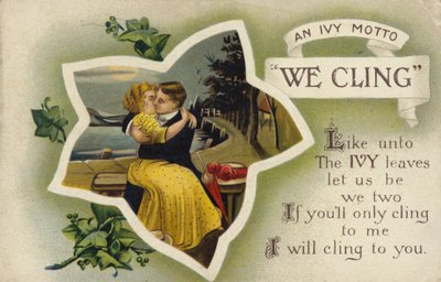 Ci aggrappiamo - Un motto di edera da English School