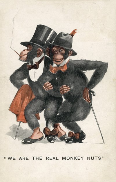 Siamo i veri Monkey Nuts da English School