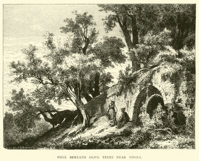 Pozzo sotto gli ulivi vicino a Tivoli da English School