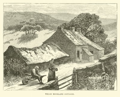 Cottage della brughiera gallese da English School