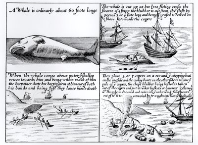 Caccia alla balena a Spitzbergen nel 1611 da English School