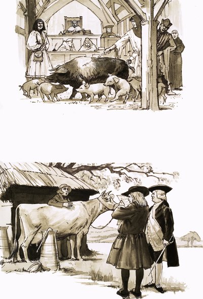 Quando gli animali venivano processati in tribunale da English School