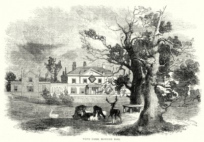 White Lodge, Richmond Park (incisione) da English School