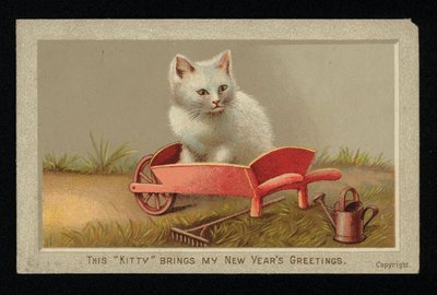 Gatto bianco in una carriola, cartolina di auguri di Capodanno da English School