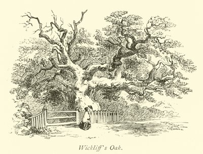La Quercia di Wickliff da English School