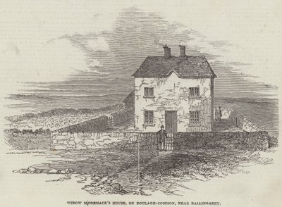 La casa della vedova M