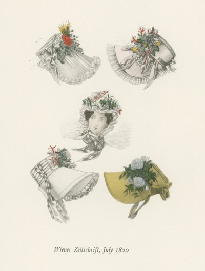 Wiener Zeitschrift, luglio 1820 da English School