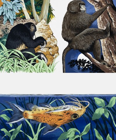 Montaggio di animali selvatici da English School