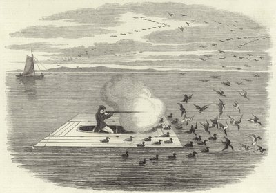 Caccia alle anatre selvatiche sul Potomac da English School