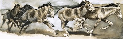 Fauna in Pericolo: L