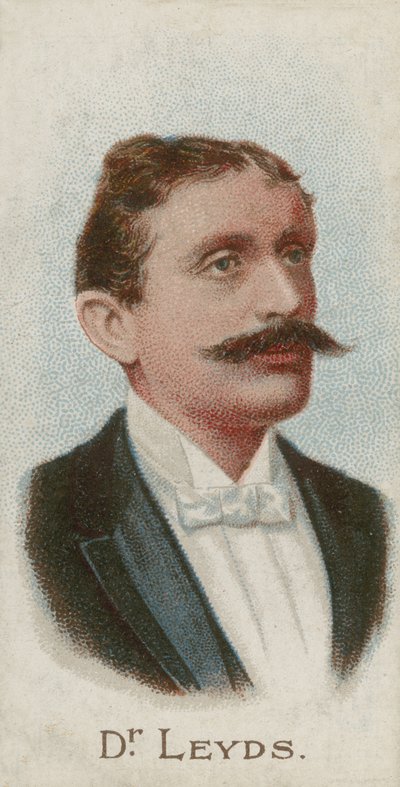 Willem Johannes Leyds, avvocato e statista olandese da English School