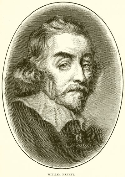 William Harvey da English School