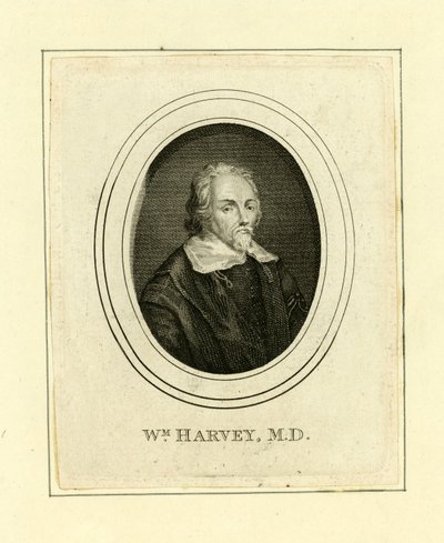 William Harvey da English School