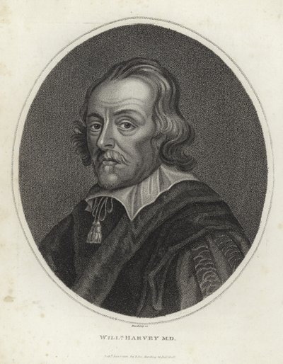 William Harvey da English School