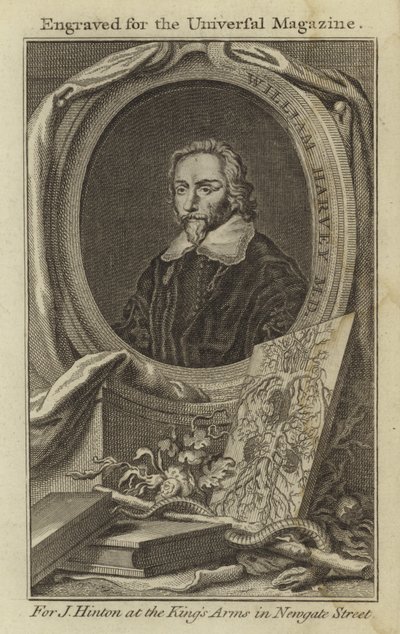 William Harvey da English School
