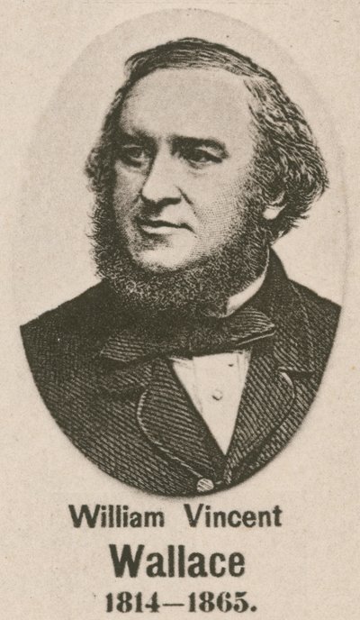 William Vincent Wallace da English School