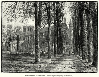 Cattedrale di Winchester (incisione) da English School