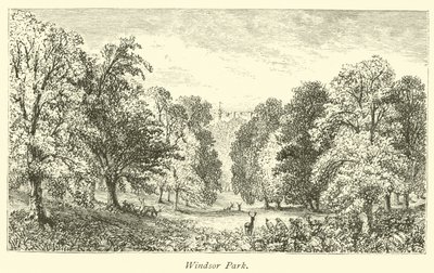Parco di Windsor da English School