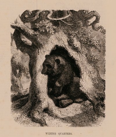 Quartieri d