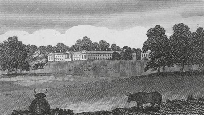 Abbazia di Woburn da English School