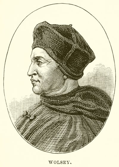Wolsey da English School