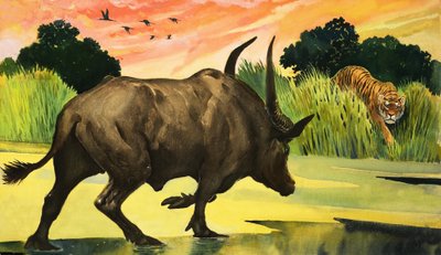 Meraviglie della natura: l