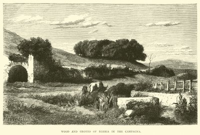 Bosco e grotta di Egeria nella Campagna da English School