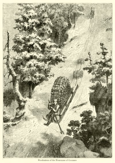Taglialegna delle Montagne di Cevennes da English School