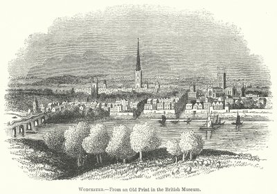 Worcester (incisione) da English School