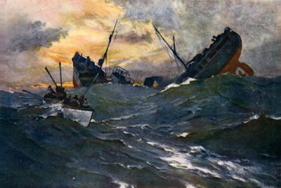 Il lavoro dei Lupi di Mare da English School